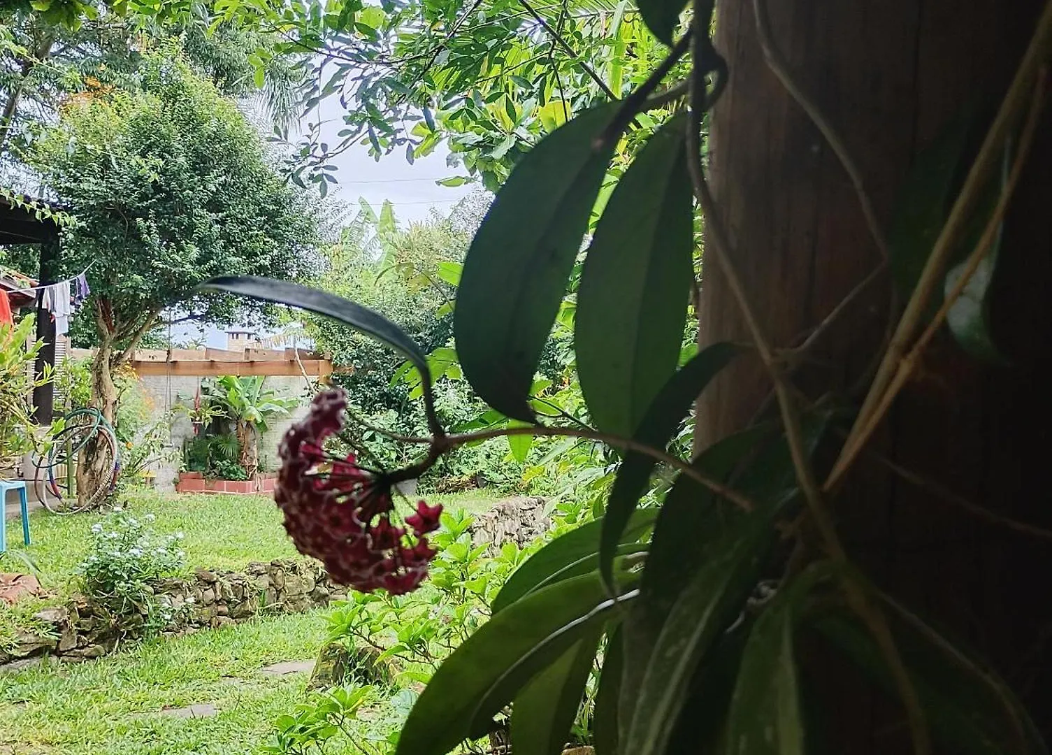 Recanto Da Minha Flor - Praia Da Pinheira Palhoça 0*,  Brazília