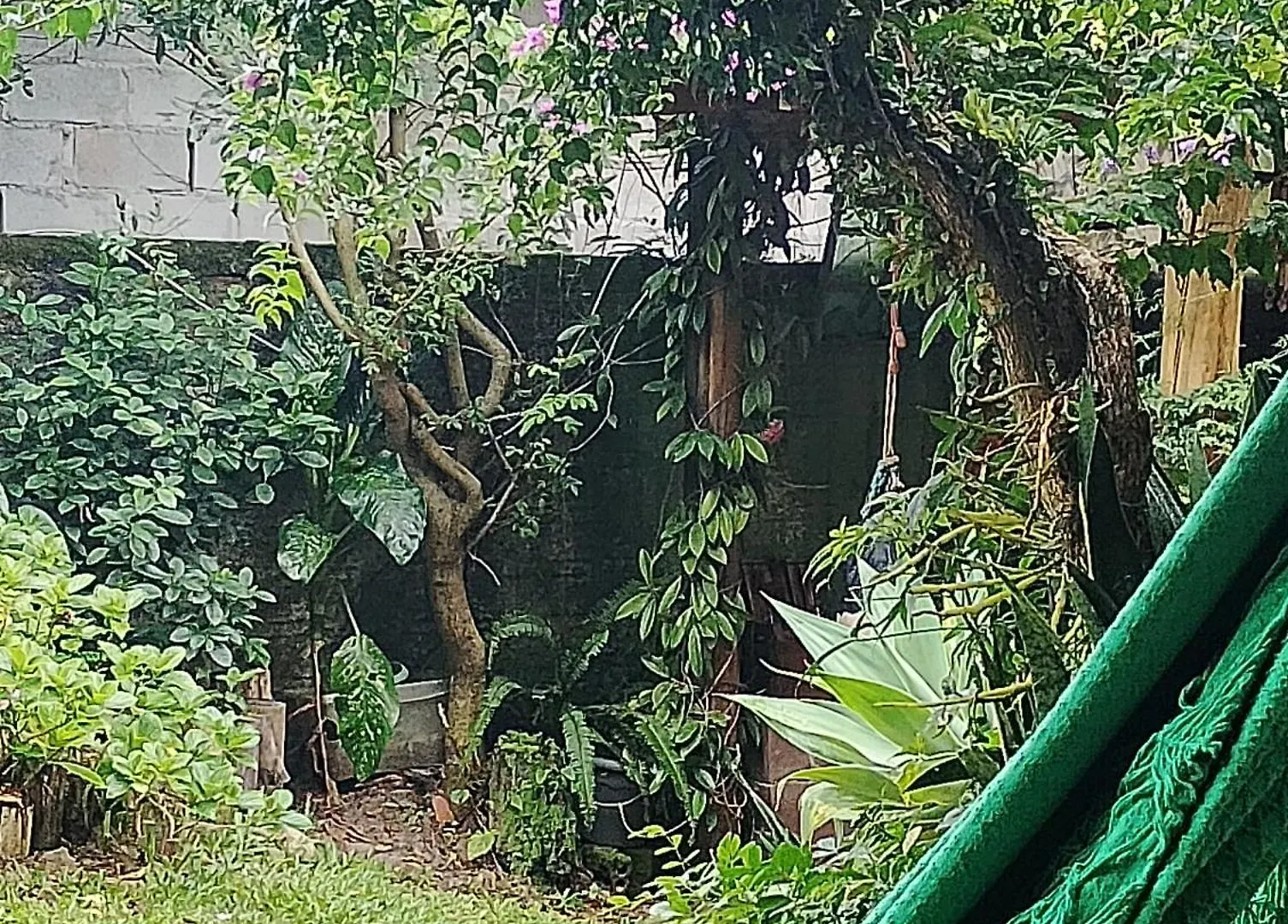 Recanto Da Minha Flor - Praia Da Pinheira Palhoça Apartman